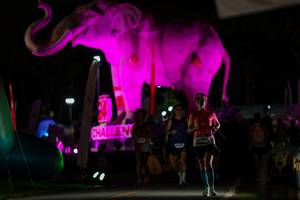 BIB: 
                            <button type="button" onclick="openModal(26530645)" class="btn btn-primary btn-sm float-right btn-popup" data-toggle="modal" data-target=".modal-high-quality">
                        <i class="fas fa-shopping-cart"></i> Add to Cart
                    </button>
                                            <button type="button" onclick="isThisMe(26530645, true)" class="btn btn-success btn-sm float-right btn-popup btn-isme hidden" data-toggle="tooltip" data-placement="bottom" title="นี่คือรูปของคุณใช่ไหม คลิกที่นี่เพื่อเอาเข้าอัลบั้ม">
                        <i class="fas fa-plus"></i> Add to album
                    </button>
                    <button type="button" onclick="isThisMe(26530645, false)" class="btn btn-warning btn-sm float-right btn-popup btn-isnotme hidden">
                        <i class="fas fa-ban"></i> Remove from album
                    </button>